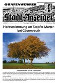 Grafenw&ouml;hrer Stadt-Anzeiger November 2012
